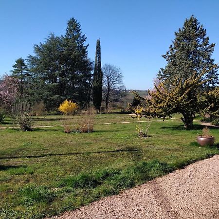Le Serpolet Ozolles Esterno foto
